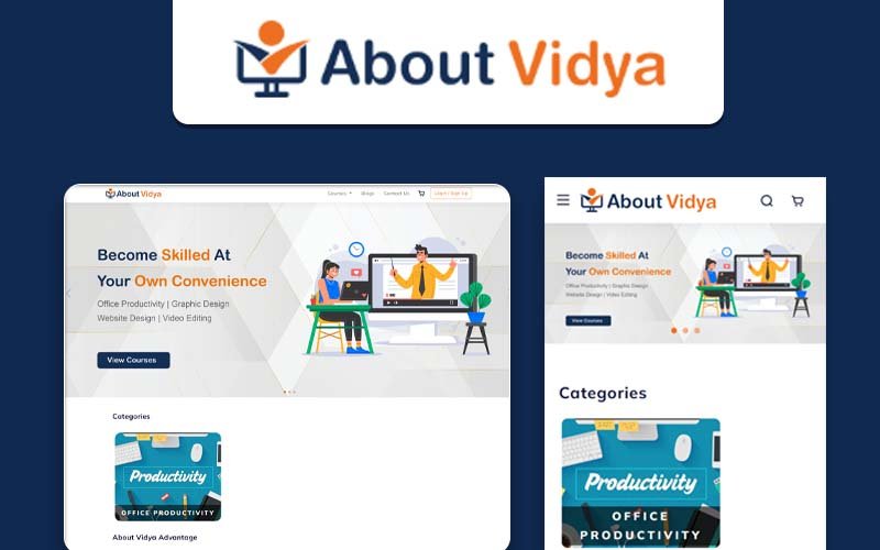 Project about vidya